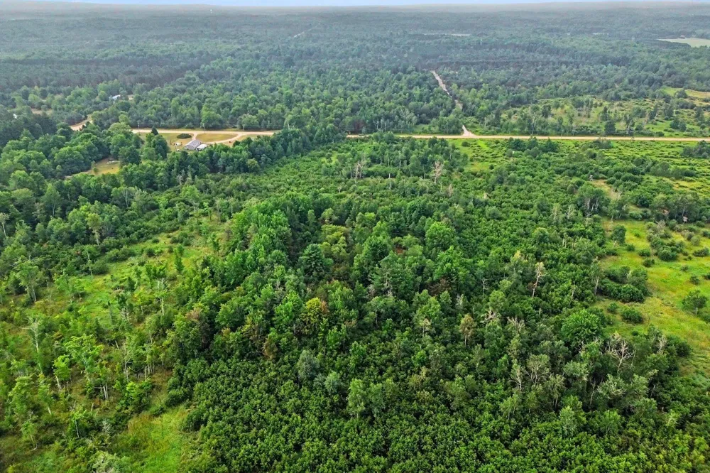 Potter Road Bear Lake, MI 49614