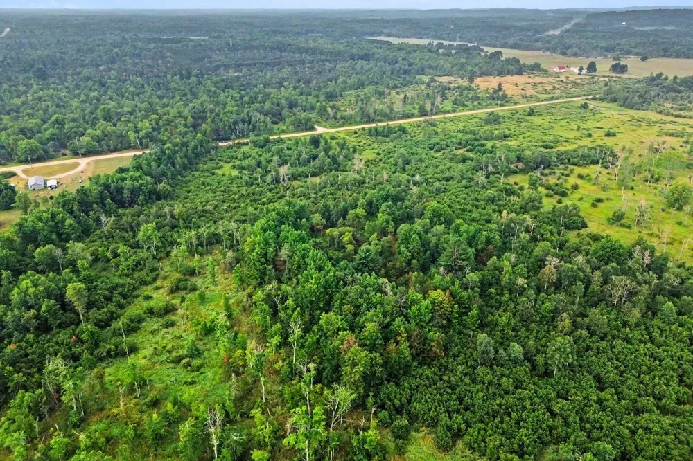 Potter Road Bear Lake, MI 49614