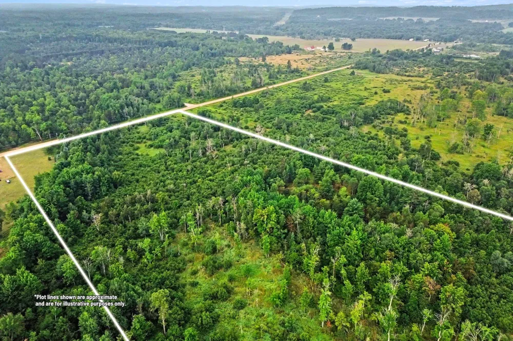 Potter Road Bear Lake, MI 49614