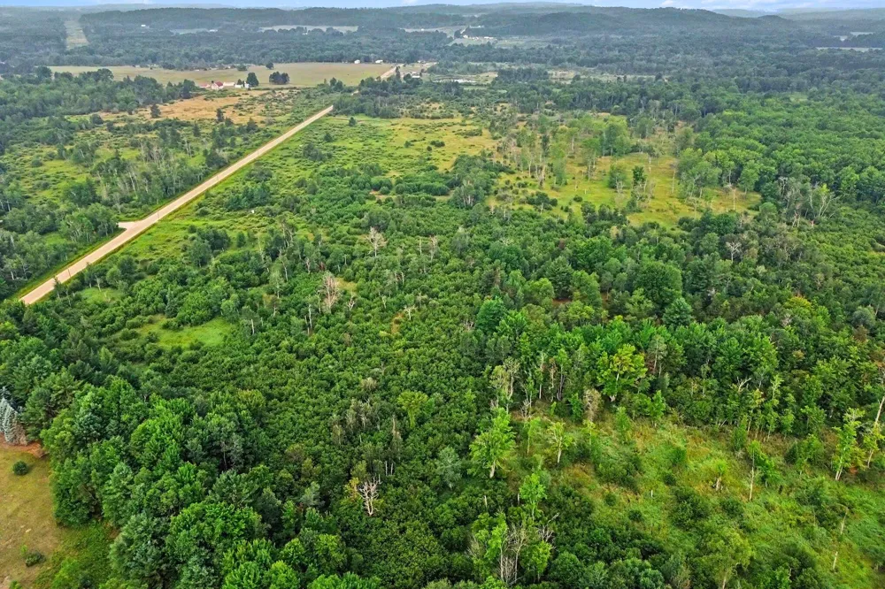 Potter Road Bear Lake, MI 49614