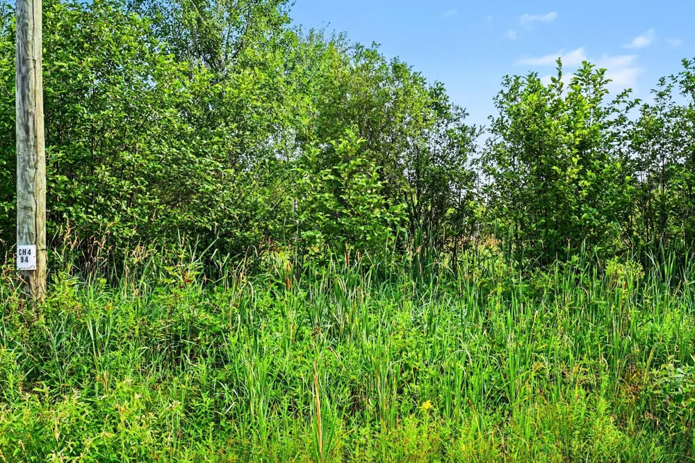 Potter Road Bear Lake, MI 49614