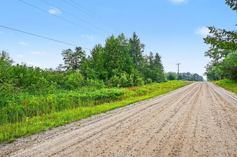 Potter Road Bear Lake, MI 49614