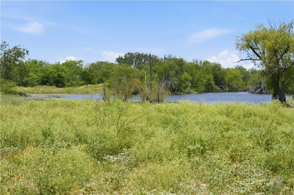3124 County Road 220 Alice, TX 78332