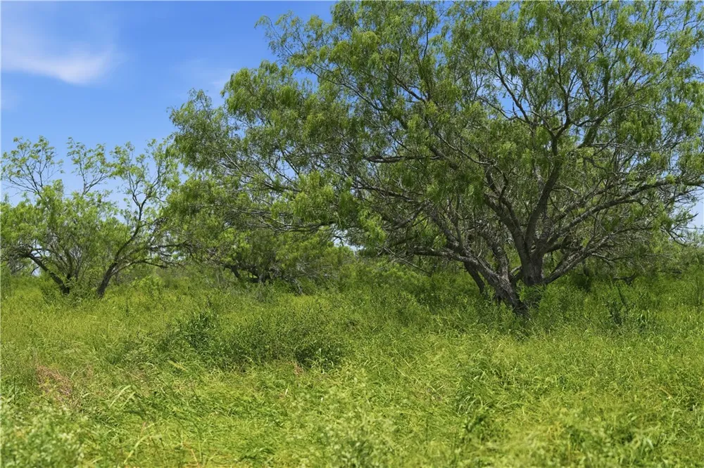 3124 County Road 220 Alice, TX 78332