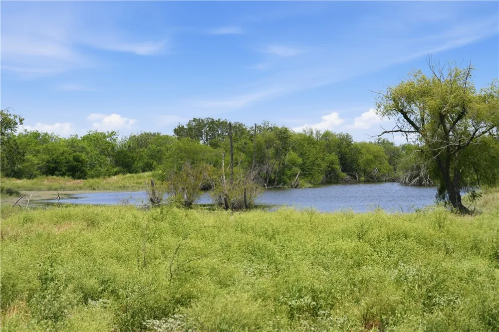 3124 County Road 220 Alice, TX 78332
