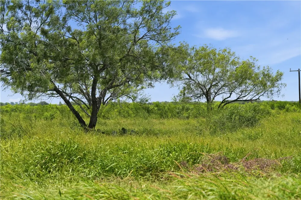 3124 County Road 220 Alice, TX 78332