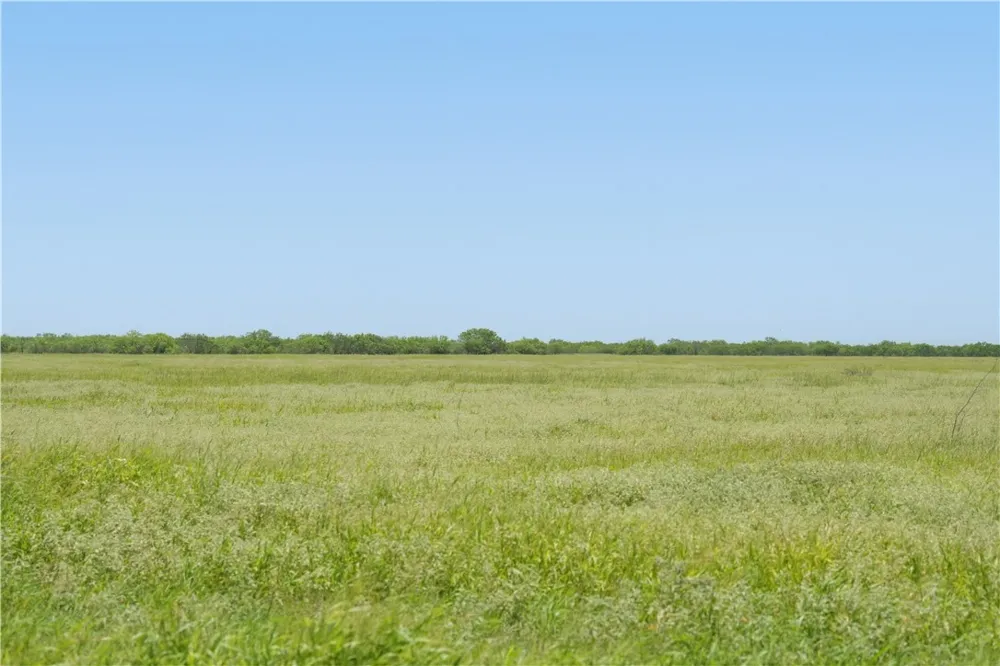 3124 County Road 220 Alice, TX 78332