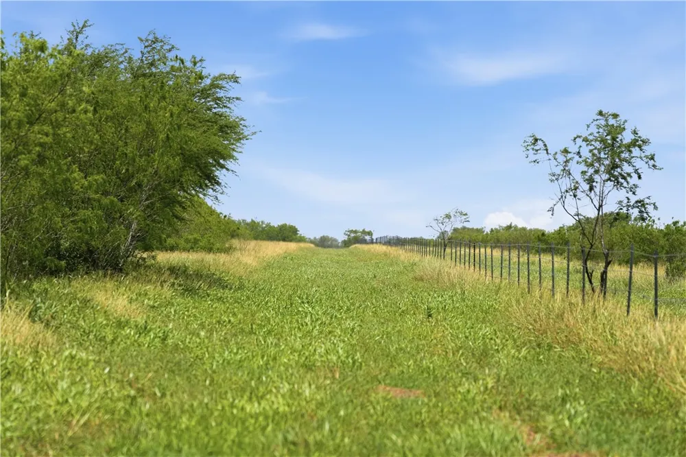 3124 County Road 220 Alice, TX 78332