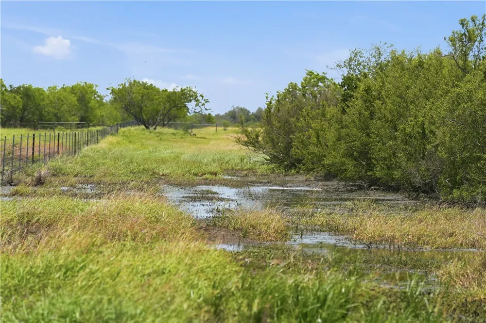 3124 County Road 220 Alice, TX 78332
