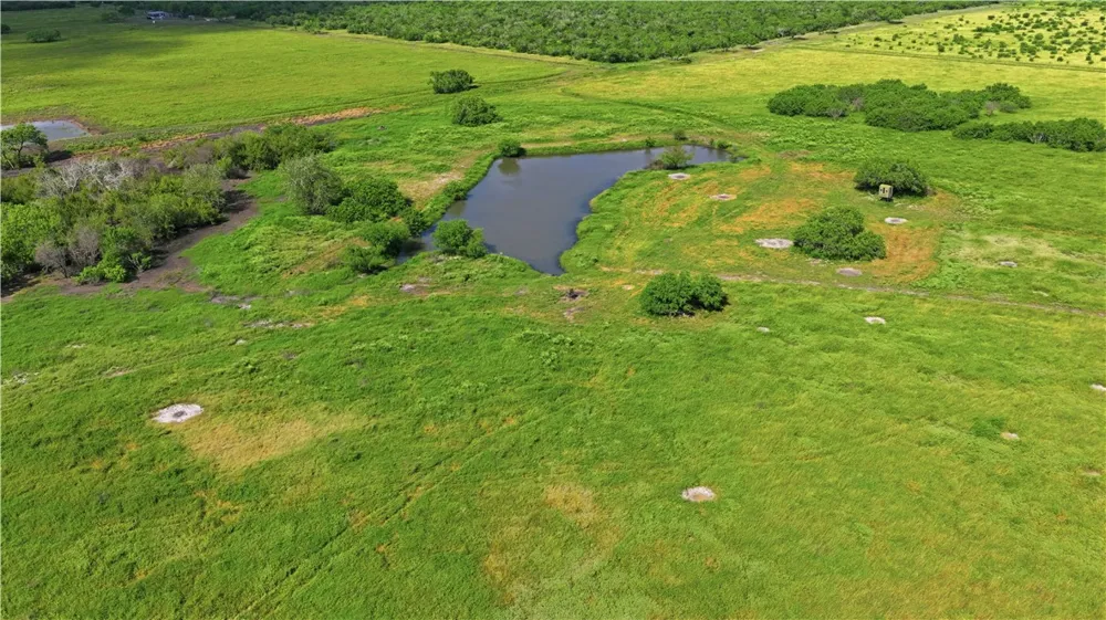 3124 County Road 220 Alice, TX 78332