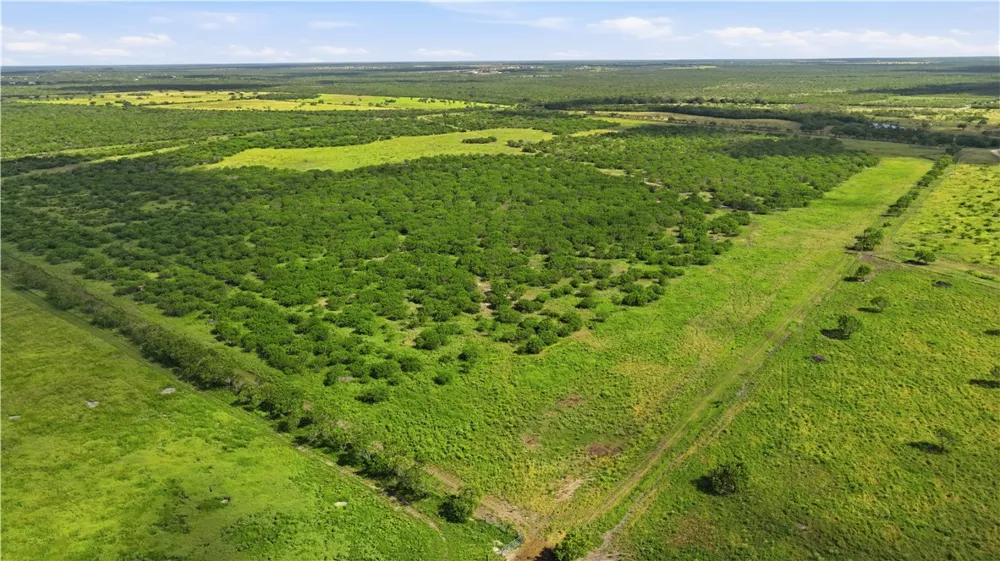 3124 County Road 220 Alice, TX 78332