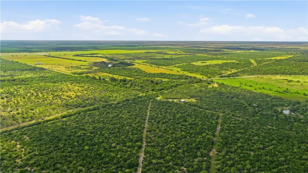 3124 County Road 220 Alice, TX 78332