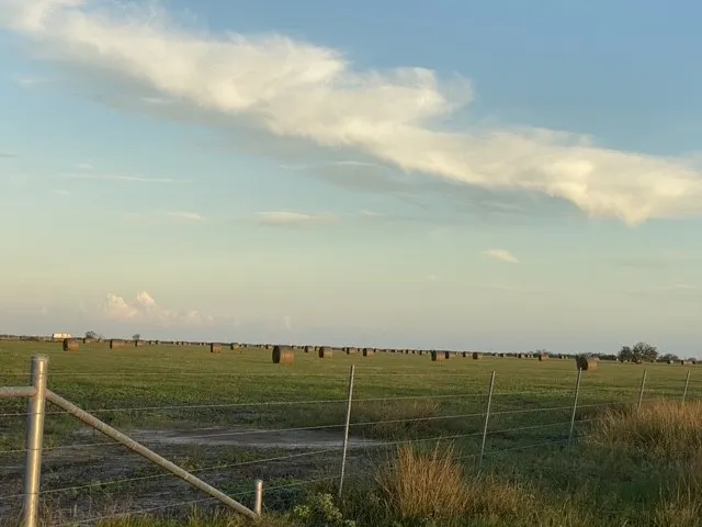 3124 County Road 220 Alice, TX 78332