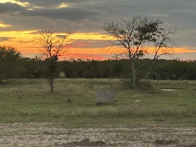 3124 County Road 220 Alice, TX 78332
