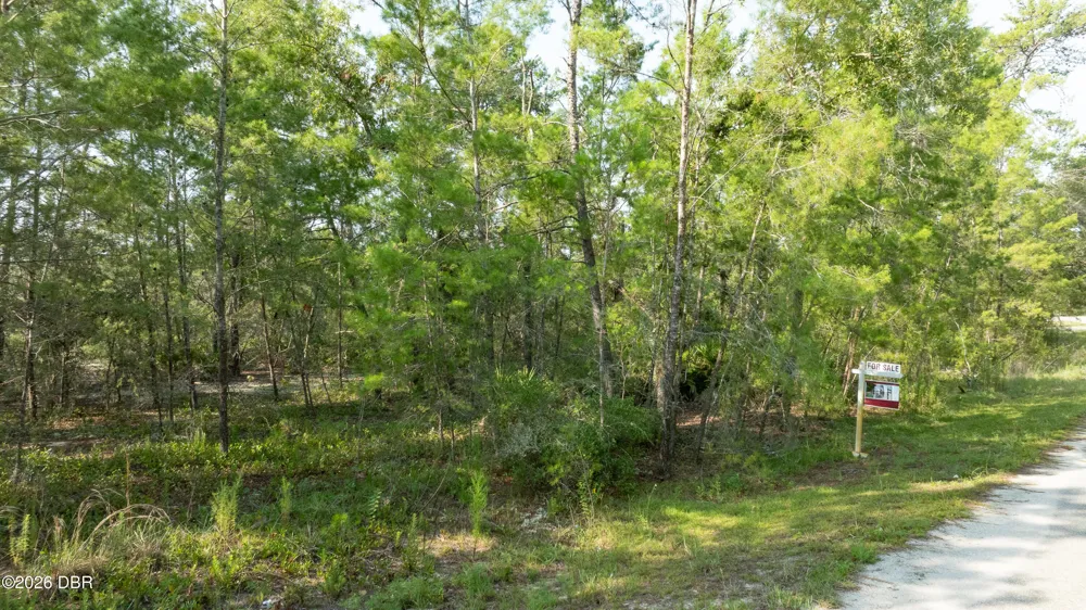 9 Fisher Trail Terrace Ocklawaha, FL 32179