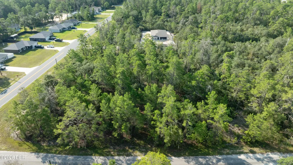 9 Fisher Trail Terrace Ocklawaha, FL 32179