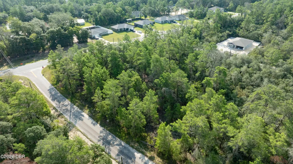 9 Fisher Trail Terrace Ocklawaha, FL 32179