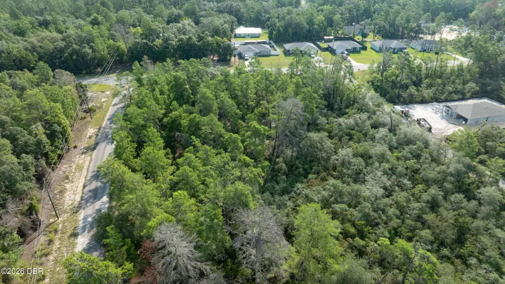 9 Fisher Trail Terrace Ocklawaha, FL 32179