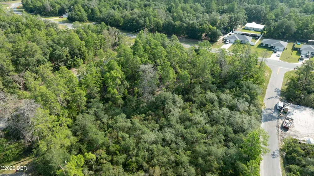 9 Fisher Trail Terrace Ocklawaha, FL 32179