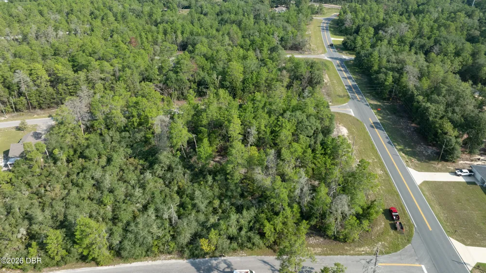 9 Fisher Trail Terrace Ocklawaha, FL 32179
