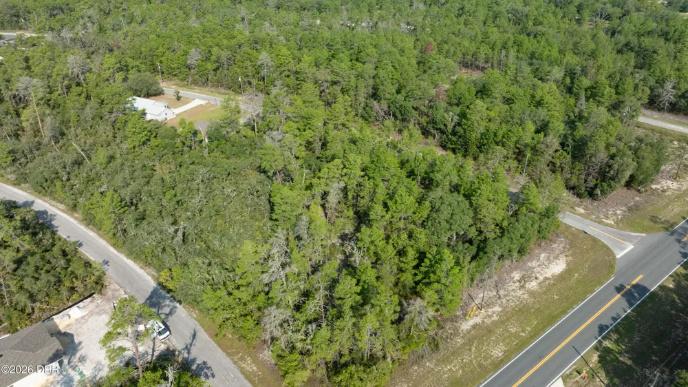 9 Fisher Trail Terrace Ocklawaha, FL 32179