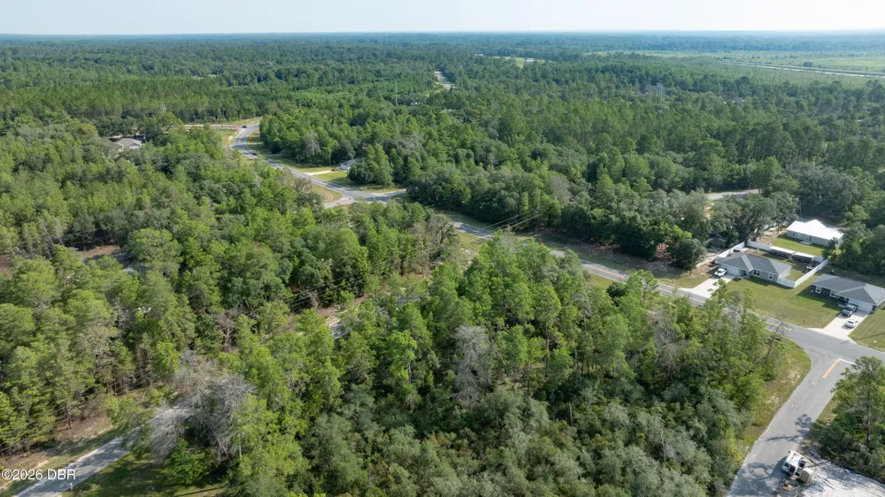 9 Fisher Trail Terrace Ocklawaha, FL 32179