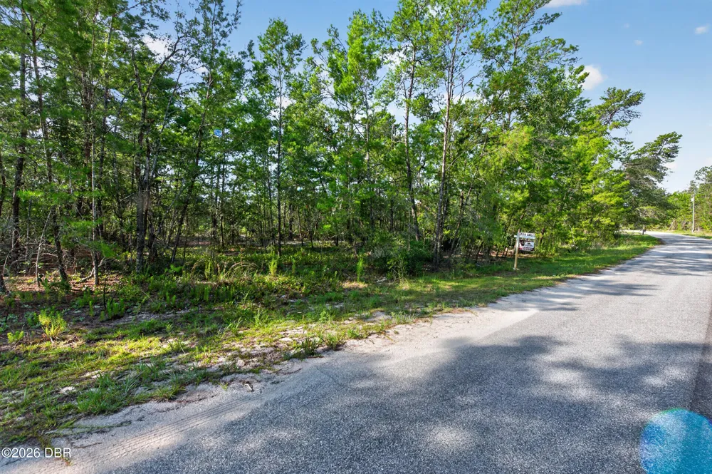 9 Fisher Trail Terrace Ocklawaha, FL 32179