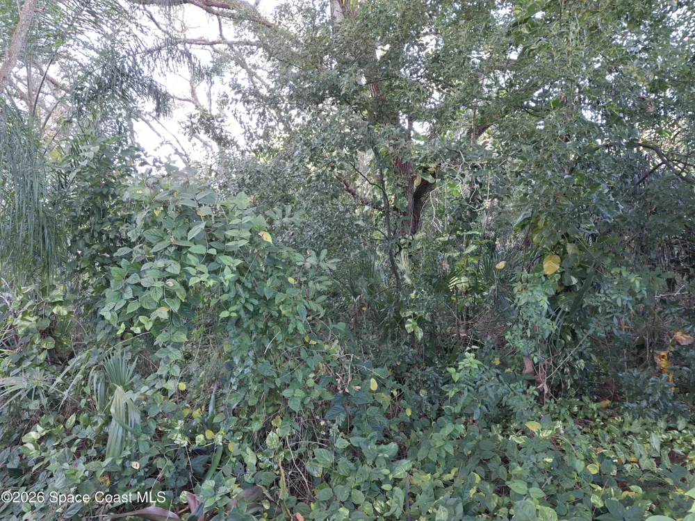 4824 Curtis Boulevard Cocoa, FL 32927