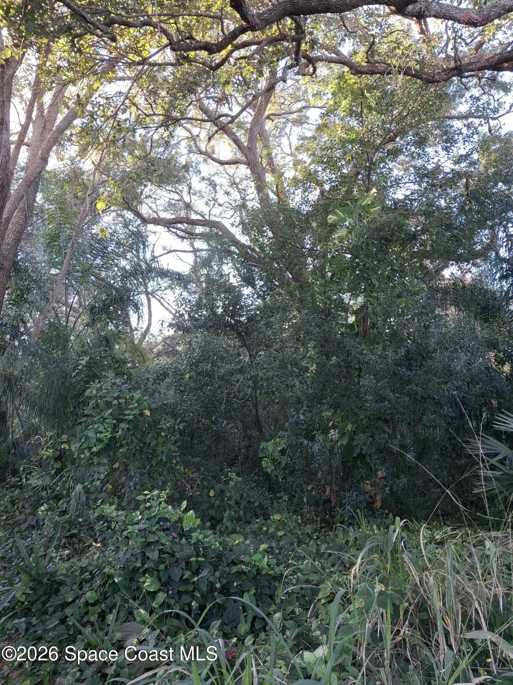 4824 Curtis Boulevard Cocoa, FL 32927