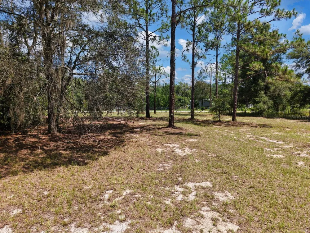 54 NE 841ST AVENUE Old Town, FL 32680