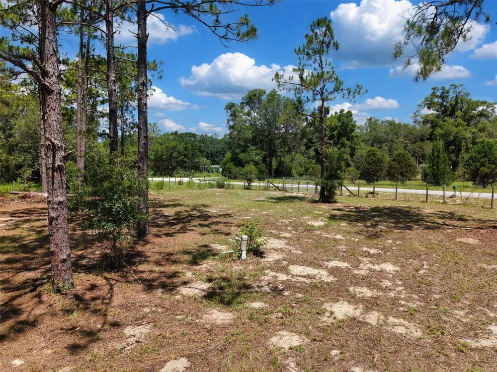 54 NE 841ST AVENUE Old Town, FL 32680