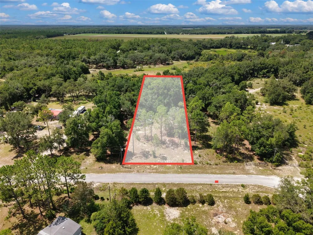 54 NE 841ST AVENUE Old Town, FL 32680