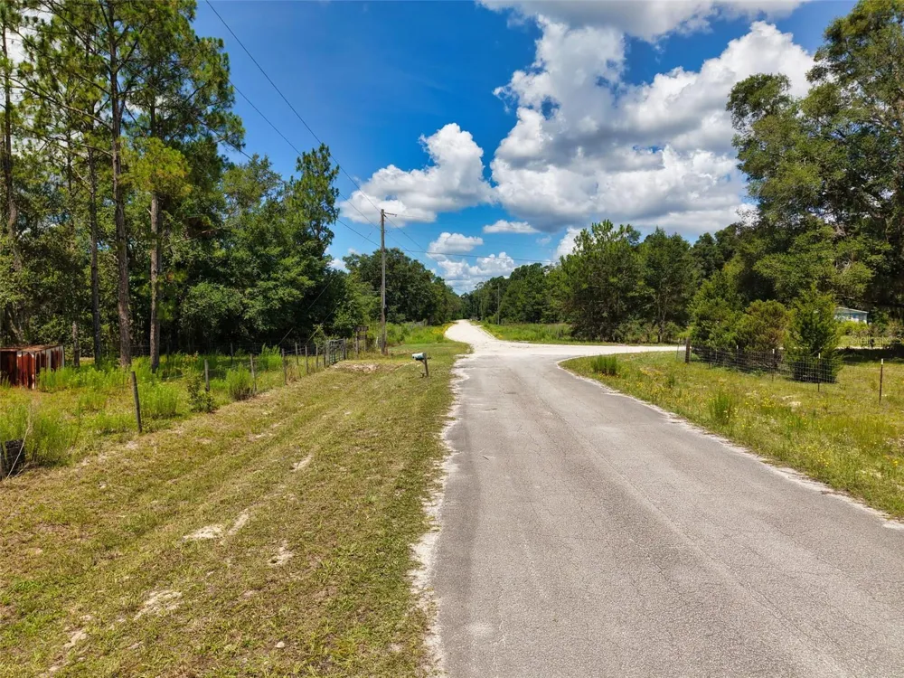 54 NE 841ST AVENUE Old Town, FL 32680