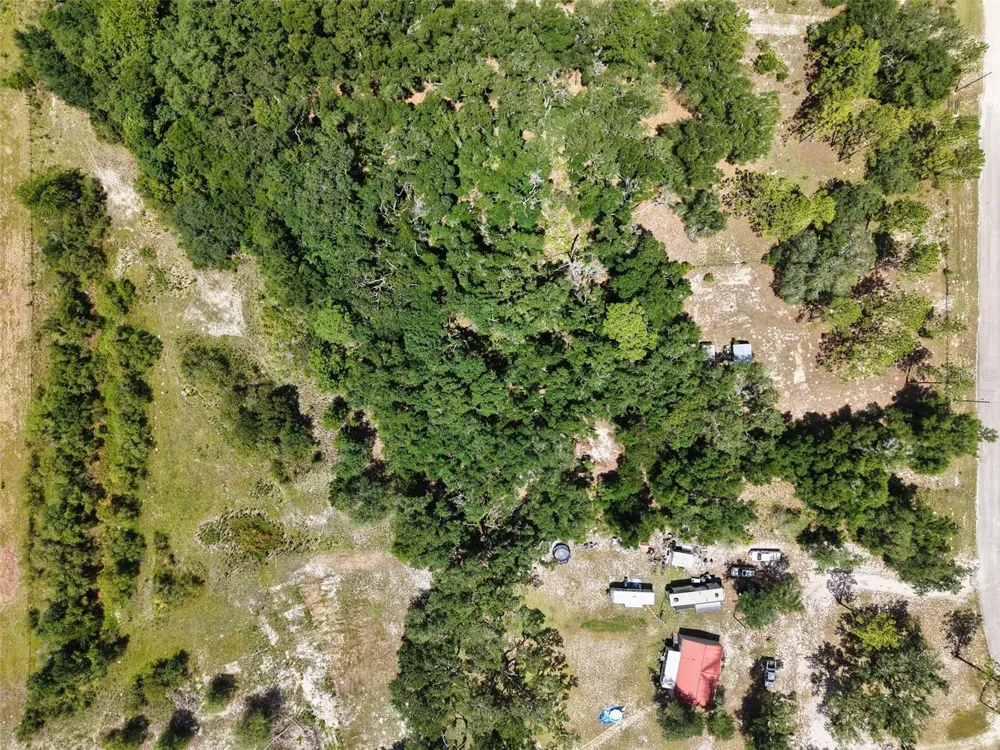 54 NE 841ST AVENUE Old Town, FL 32680