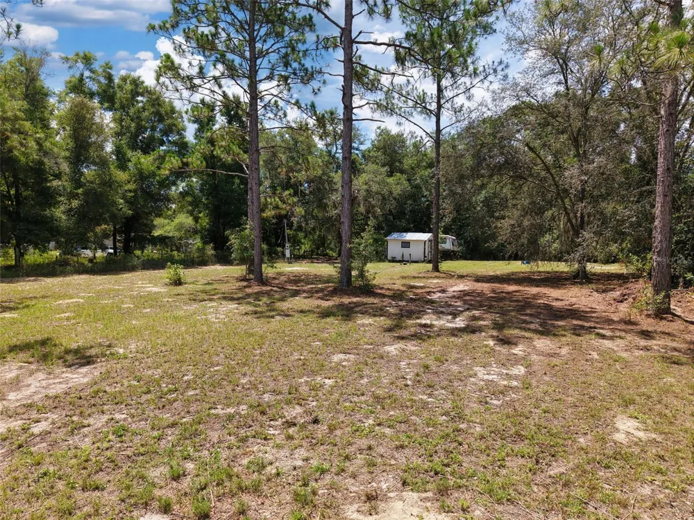 54 NE 841ST AVENUE Old Town, FL 32680
