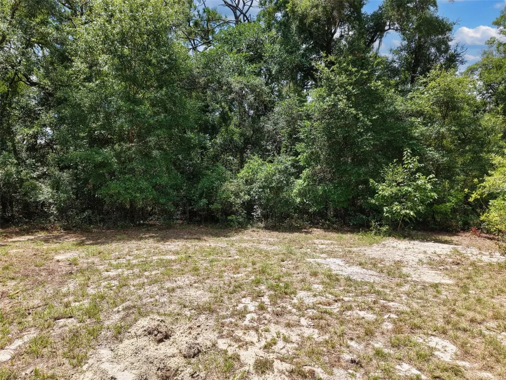 54 NE 841ST AVENUE Old Town, FL 32680
