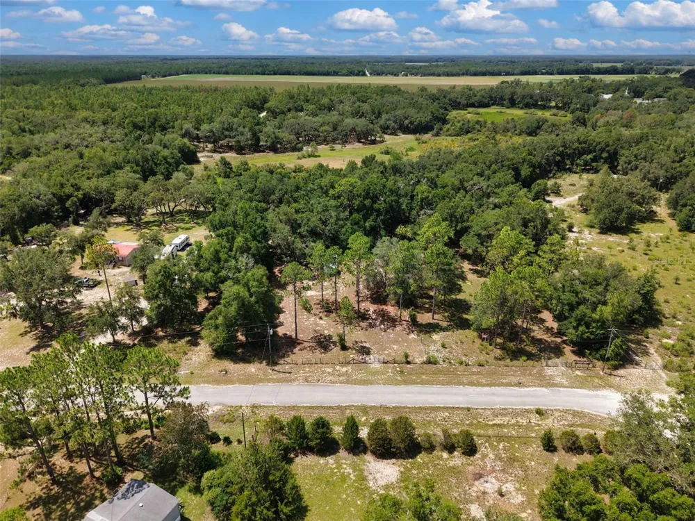 54 NE 841ST AVENUE Old Town, FL 32680
