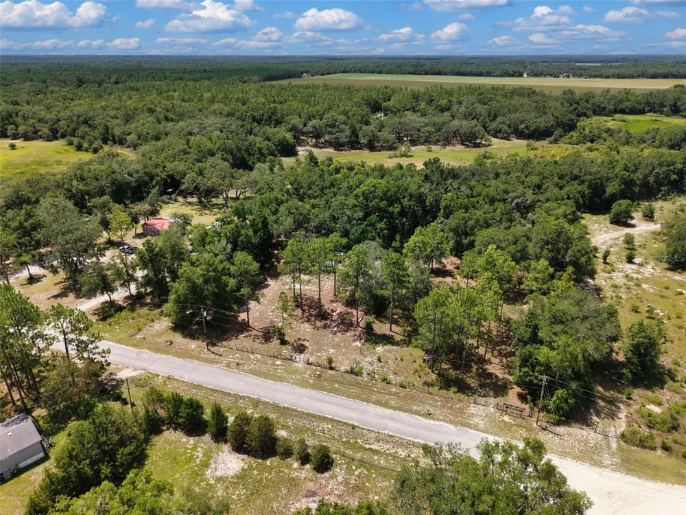 54 NE 841ST AVENUE Old Town, FL 32680