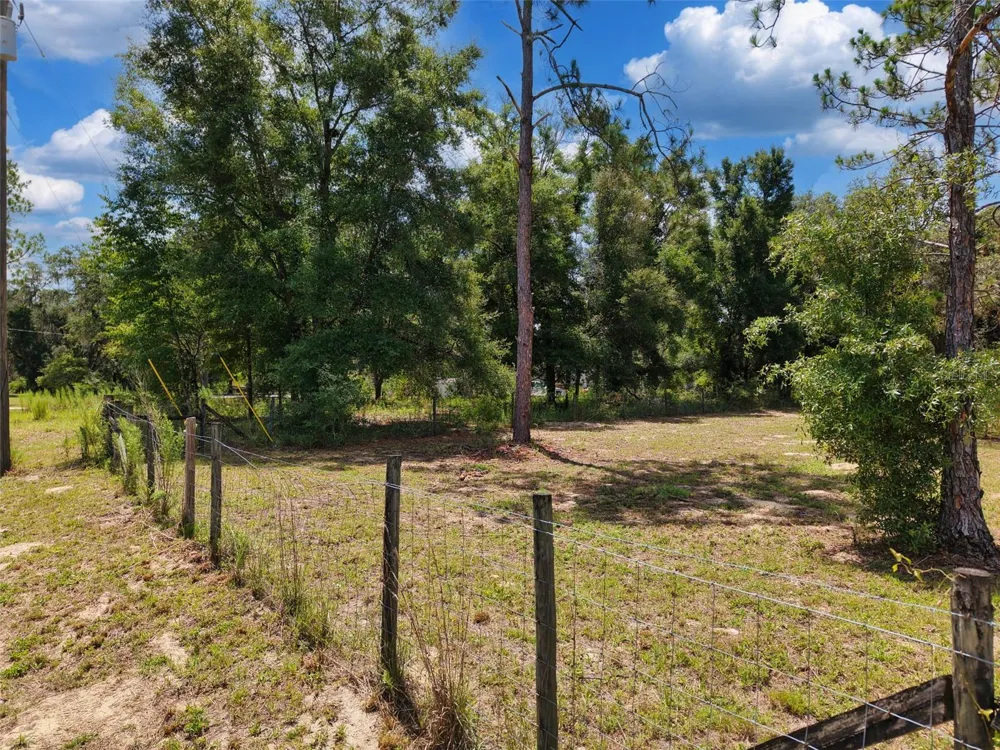 54 NE 841ST AVENUE Old Town, FL 32680