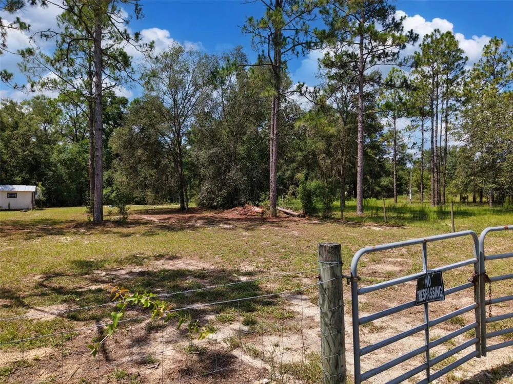54 NE 841ST AVENUE Old Town, FL 32680