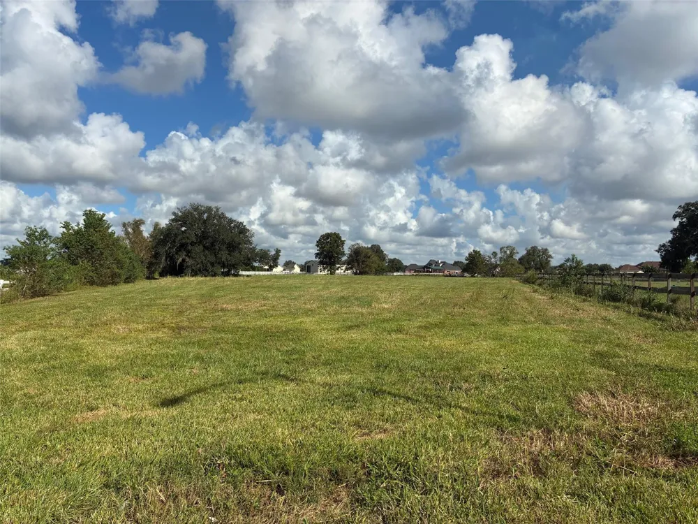 2934 Horse Trail Drive Rosharon, TX 77583