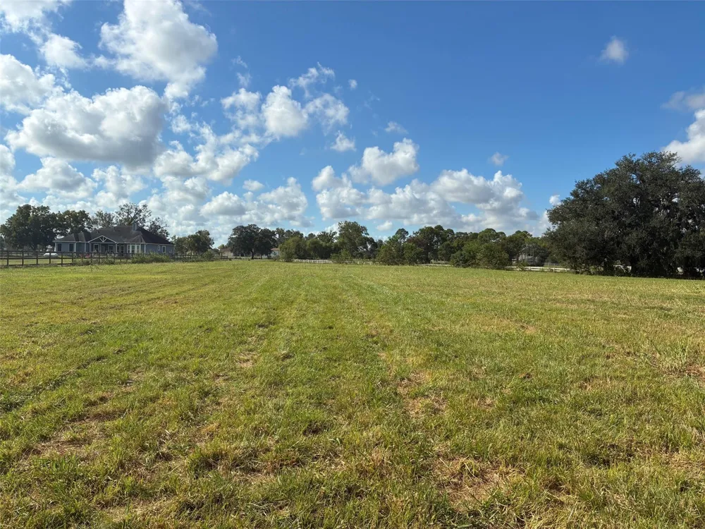 2934 Horse Trail Drive Rosharon, TX 77583