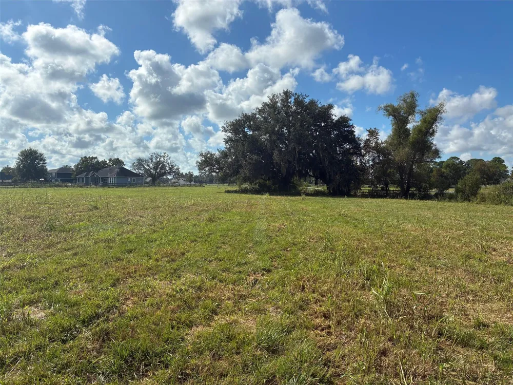2934 Horse Trail Drive Rosharon, TX 77583