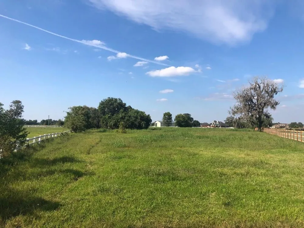 2934 Horse Trail Drive Rosharon, TX 77583