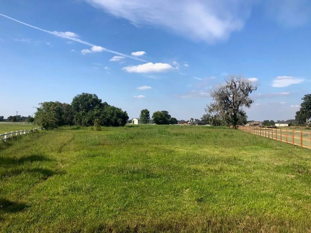 2934 Horse Trail Drive Rosharon, TX 77583