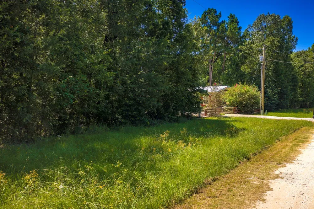25 Terlingua Livingston, TX 77351