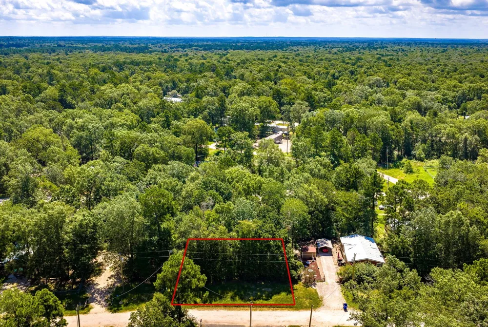 25 Terlingua Livingston, TX 77351
