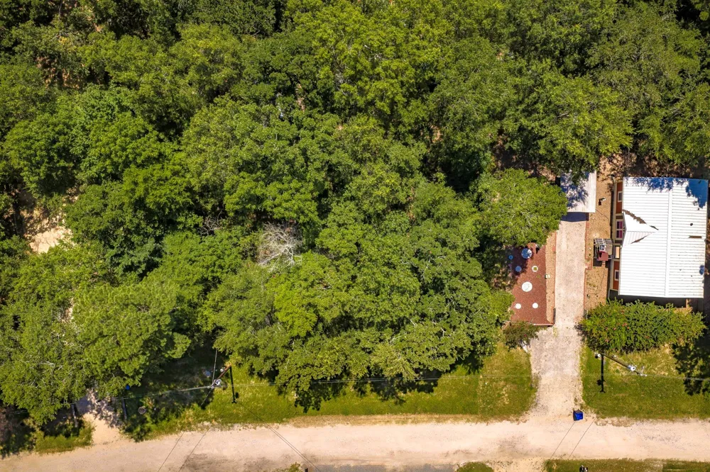 25 Terlingua Livingston, TX 77351