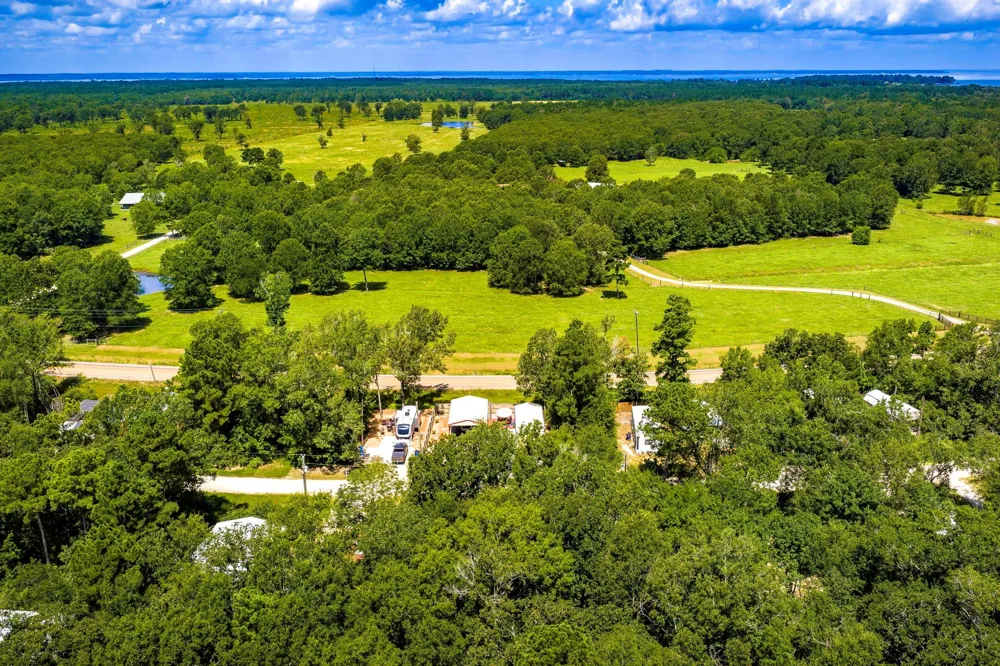 25 Terlingua Livingston, TX 77351