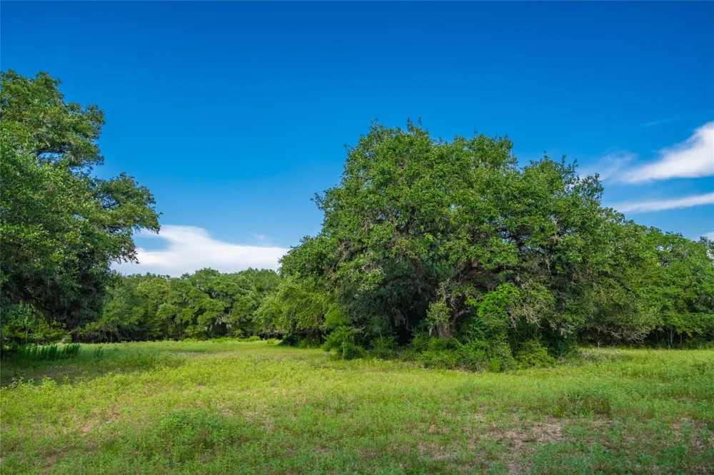 County Road 146 Hallettsville, TX 77964
